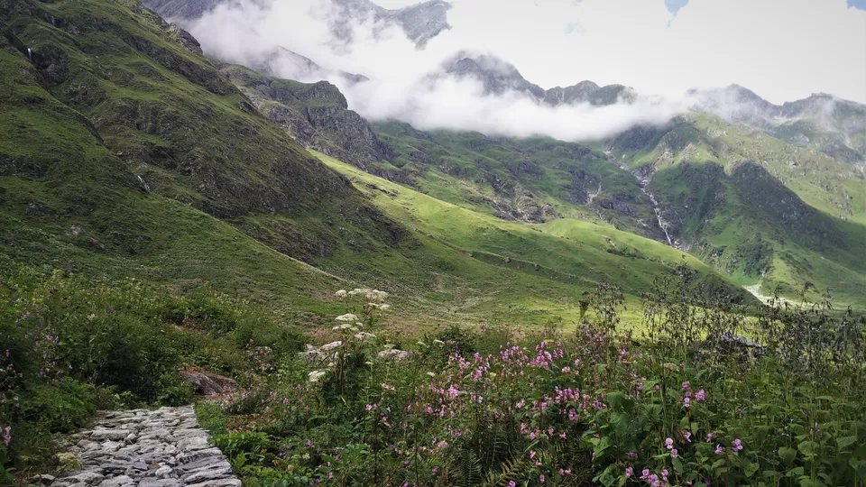 Photo of Valley of Flowers National Park, Chamoli, Uttarakhand, India by Sourav Shukla 