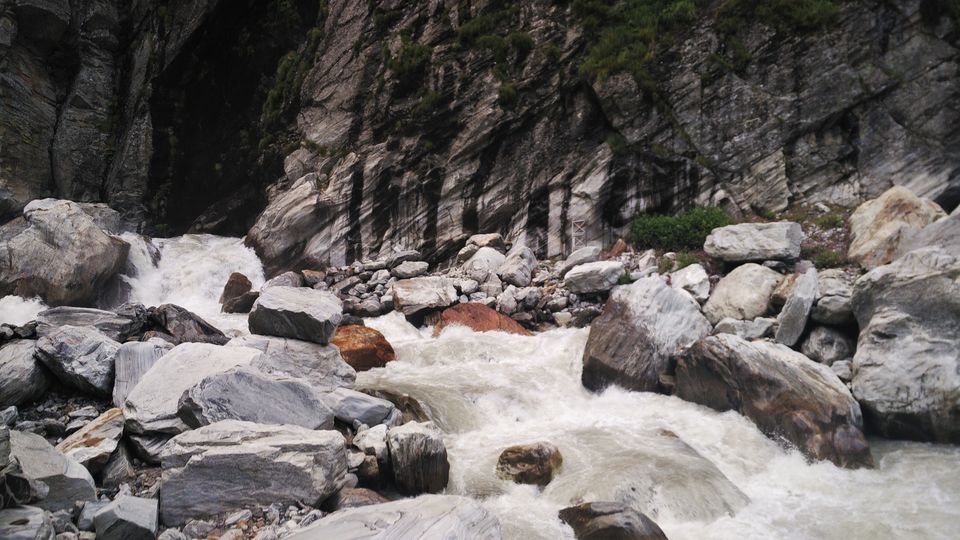 Valley of Flowers, Auli and a taste of heaven Tripoto