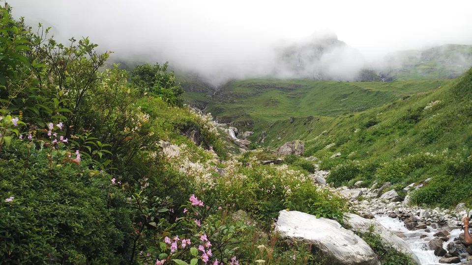 Photo of Valley of Flowers National Park, Chamoli, Uttarakhand, India by Sourav Shukla 