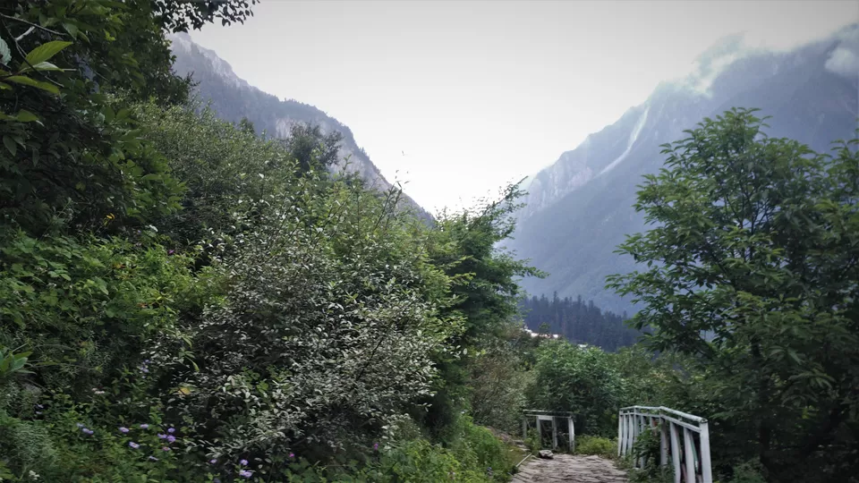 Photo of Valley of Flowers National Park, Chamoli, Uttarakhand, India by Sourav Shukla 