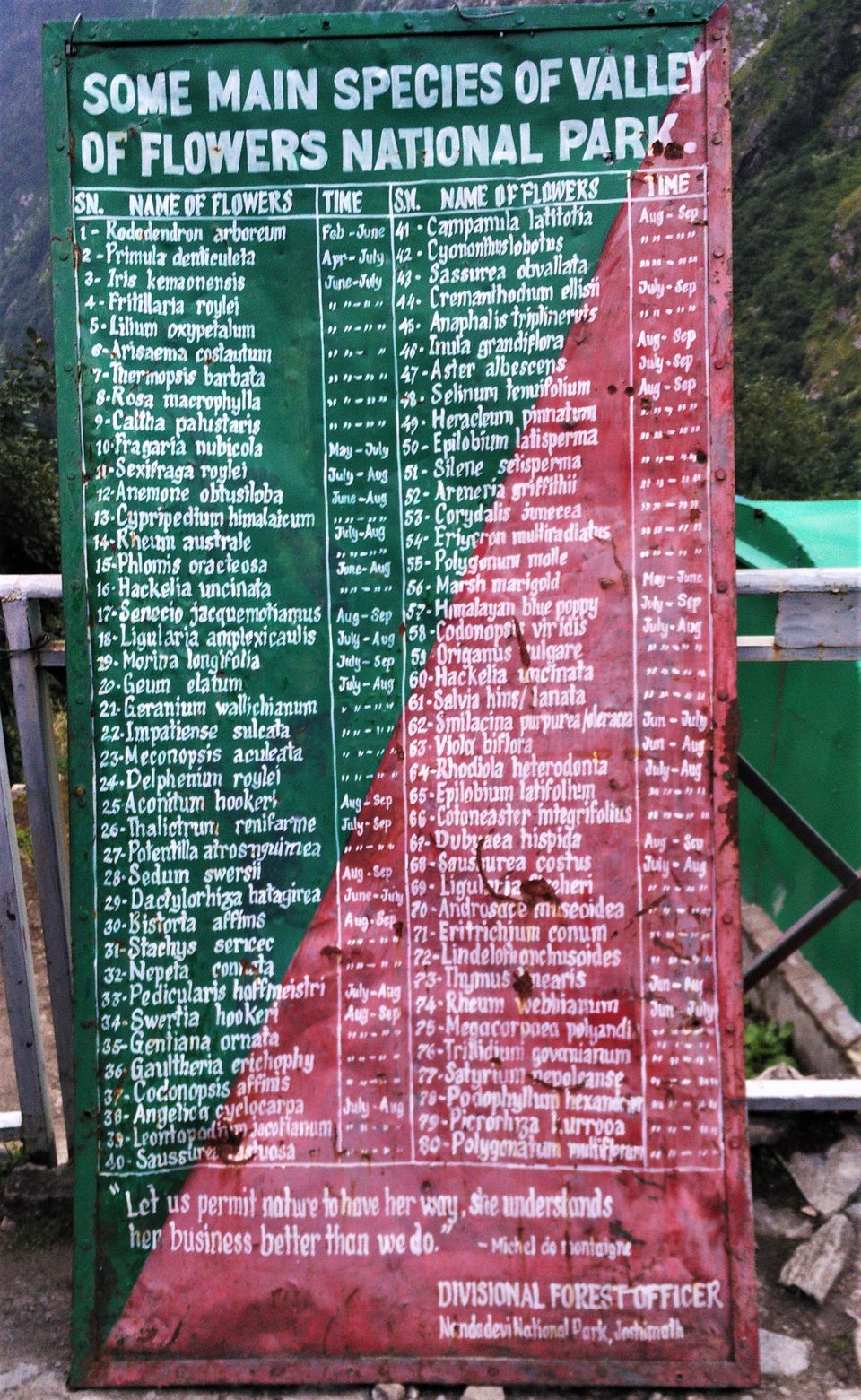 Valley of Flowers, Auli and a taste of heaven Tripoto