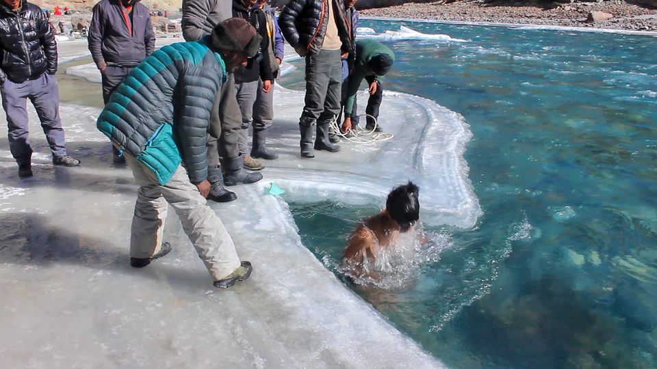 Photo of CHADAR - Where Frozen Magic Happens!! #BestOfTravel by Mayur Kanade