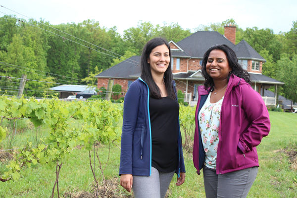 Photo of Let's Discover ON - EPIC Wine Tour in Essex County, ON by Let's Discover ON .