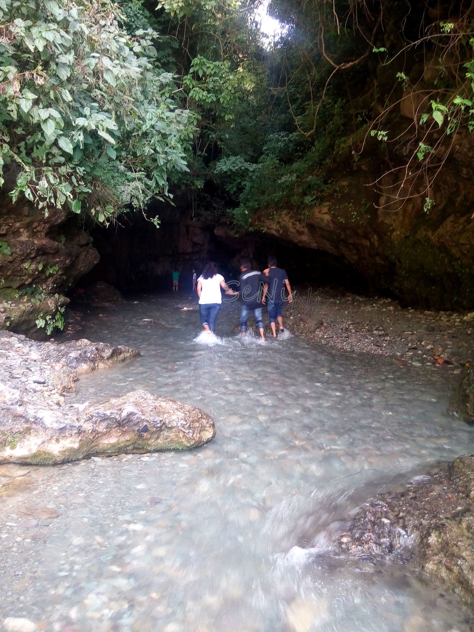 Photo of Robber's Cave Ghuchukpani, Dehradun, Uttarakhand, India by She Flies Without Wings (Nitya Iyer)