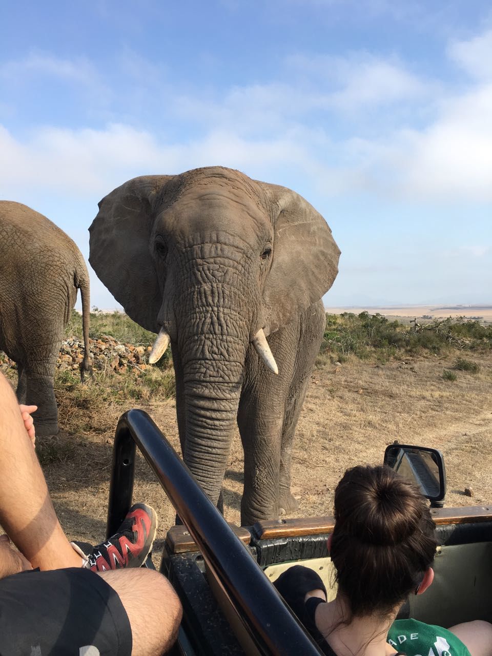 Photo of #SwipeRightToTravel -- #SimplySouthAfrica 1/14 by Jaikishan Kaurani