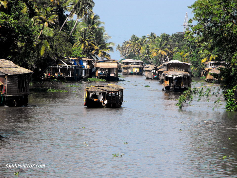 Photo of My Ultimate Guide To Kerala: Tips, Budget And Itineraries 1/1 by prateek goel