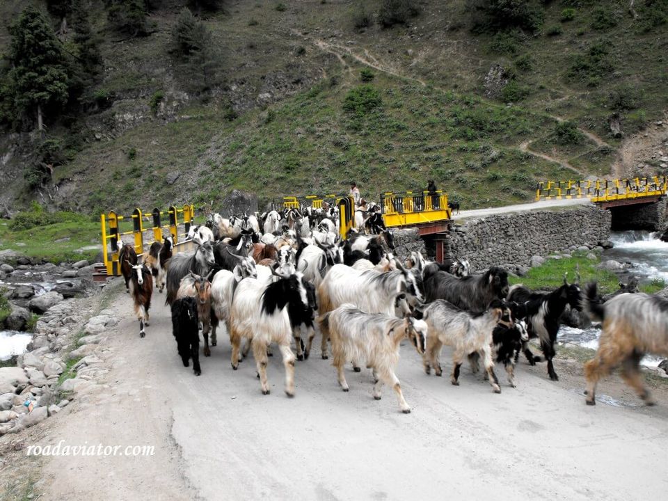Photo of Aru Vally, Pahalgam by prateek goel