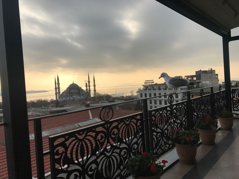 Photo of Istanbul In Three Days by aditi