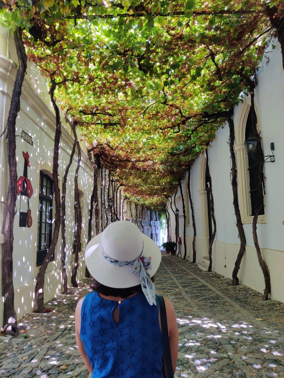 Photo of Sevilla, Spain by aditi
