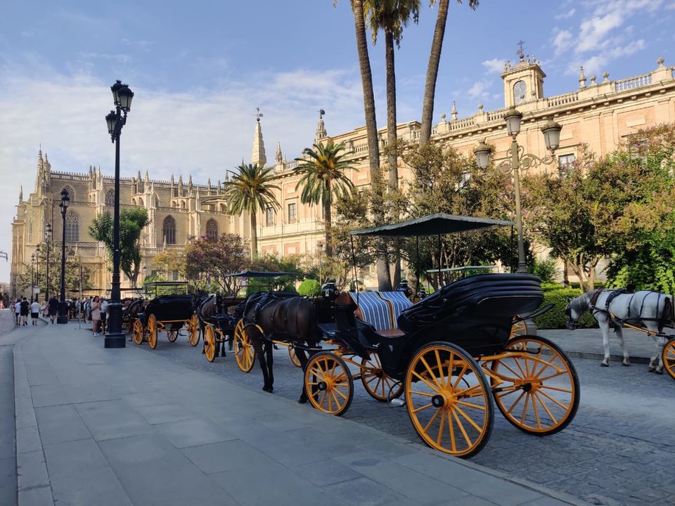 Photo of Sevilla, Spain by aditi