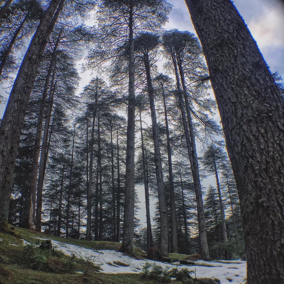 Photo of Chamba, Himachal Pradesh, India by Tania Sharma