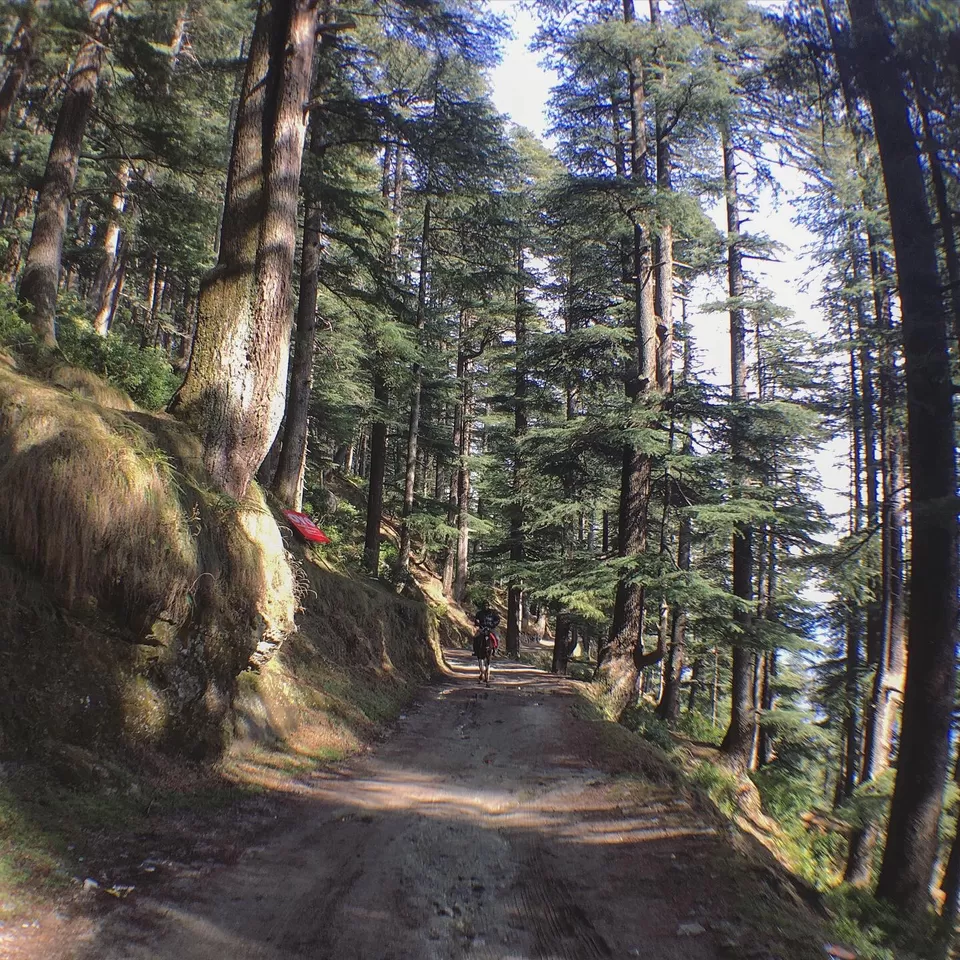 Photo of Chamba, Himachal Pradesh, India by Tania Sharma