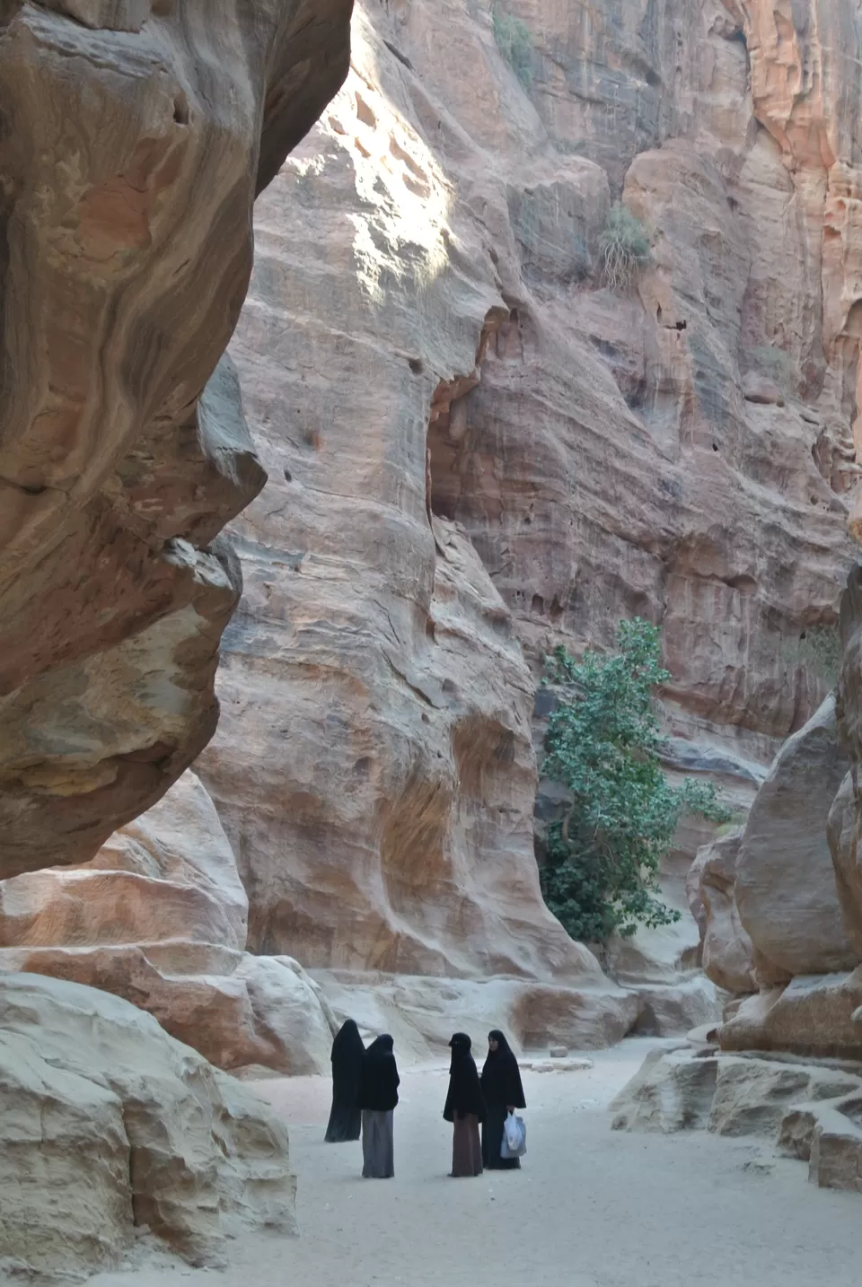 Photo of Petra, Ma'an, Jordan by Rebecca