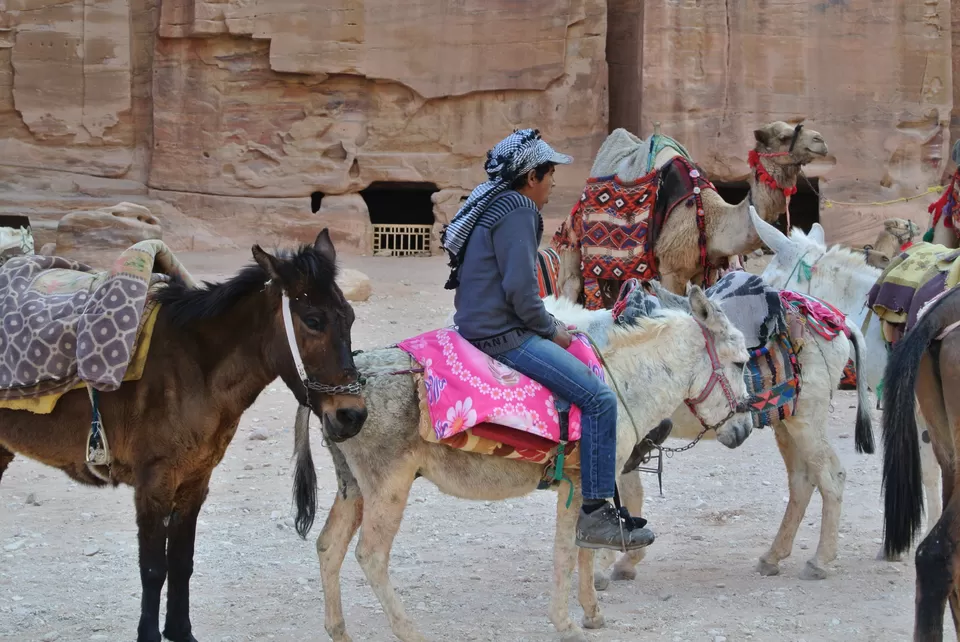 Photo of Petra, Ma'an, Jordan by Rebecca