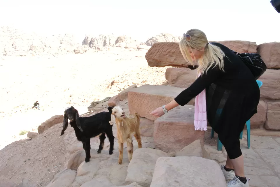Photo of Petra, Ma'an, Jordan by Rebecca