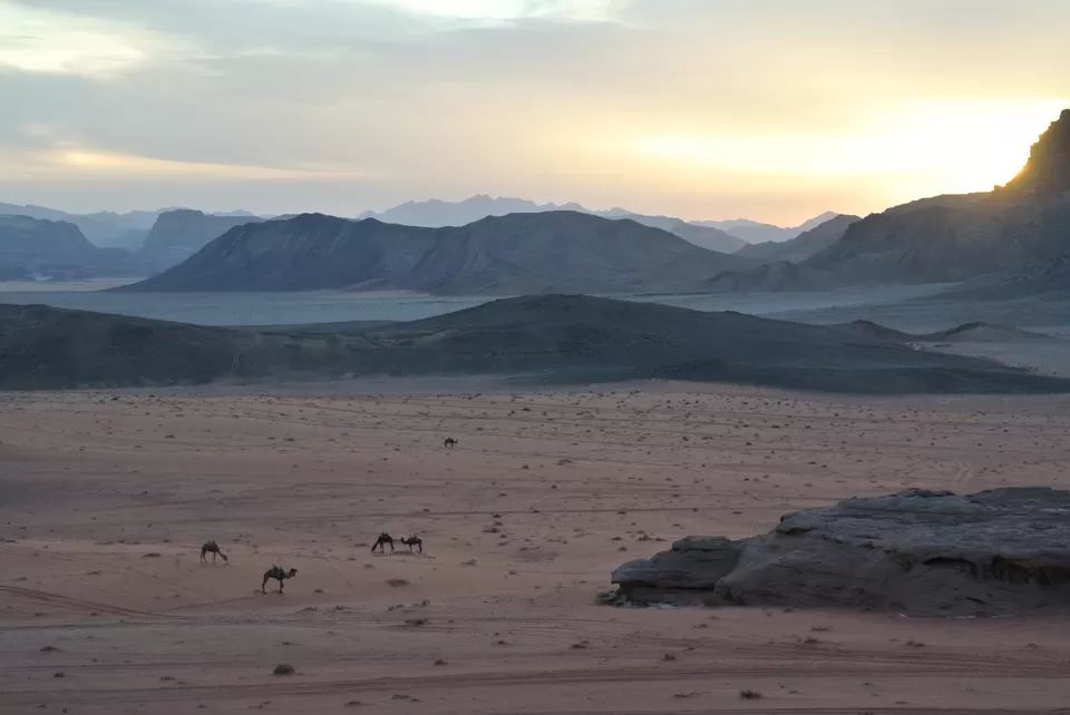 Photo of Wadi Rum, Aqaba, Jordan by Rebecca