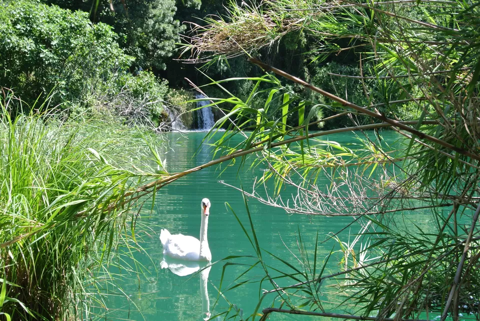 Photo of Krka, National Park Una, Begluci, Federacija Bosne i Hercegovine, Croatia by Rebecca