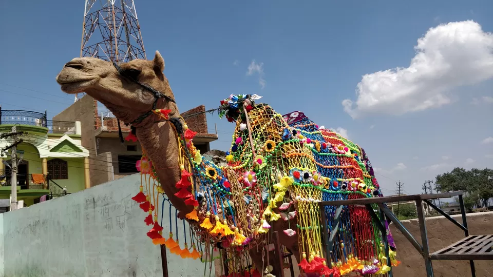 Photo of Taragarh, Ajmer, Rajasthan, India by Meenakshi Singh
