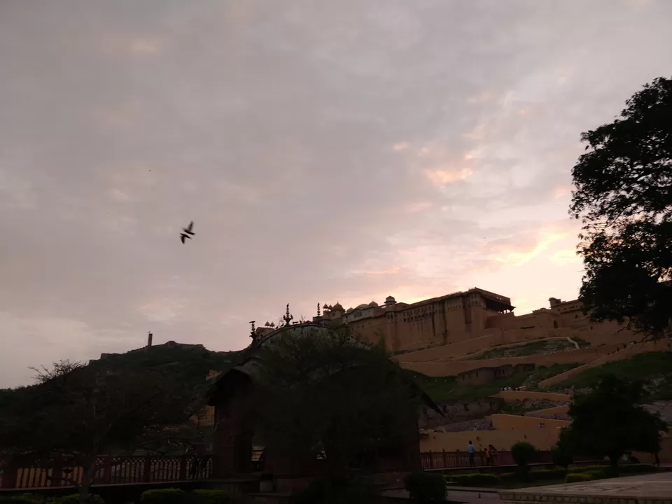 Photo of Jaipur, Rajasthan, India by Meenakshi Singh