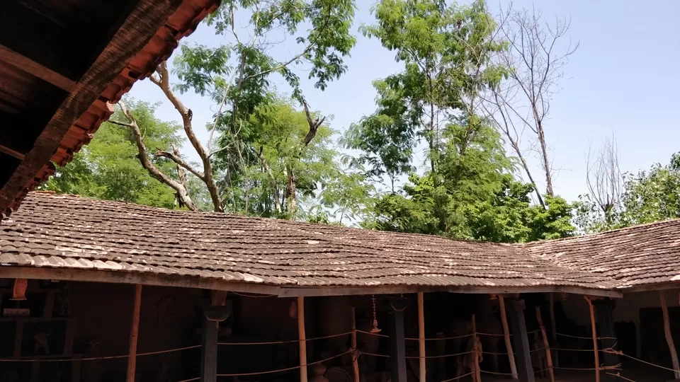 Photo of Udaipur, Rajasthan, India by Meenakshi Singh