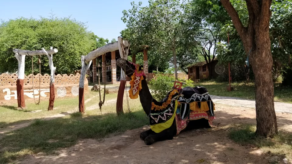 Photo of Udaipur, Rajasthan, India by Meenakshi Singh