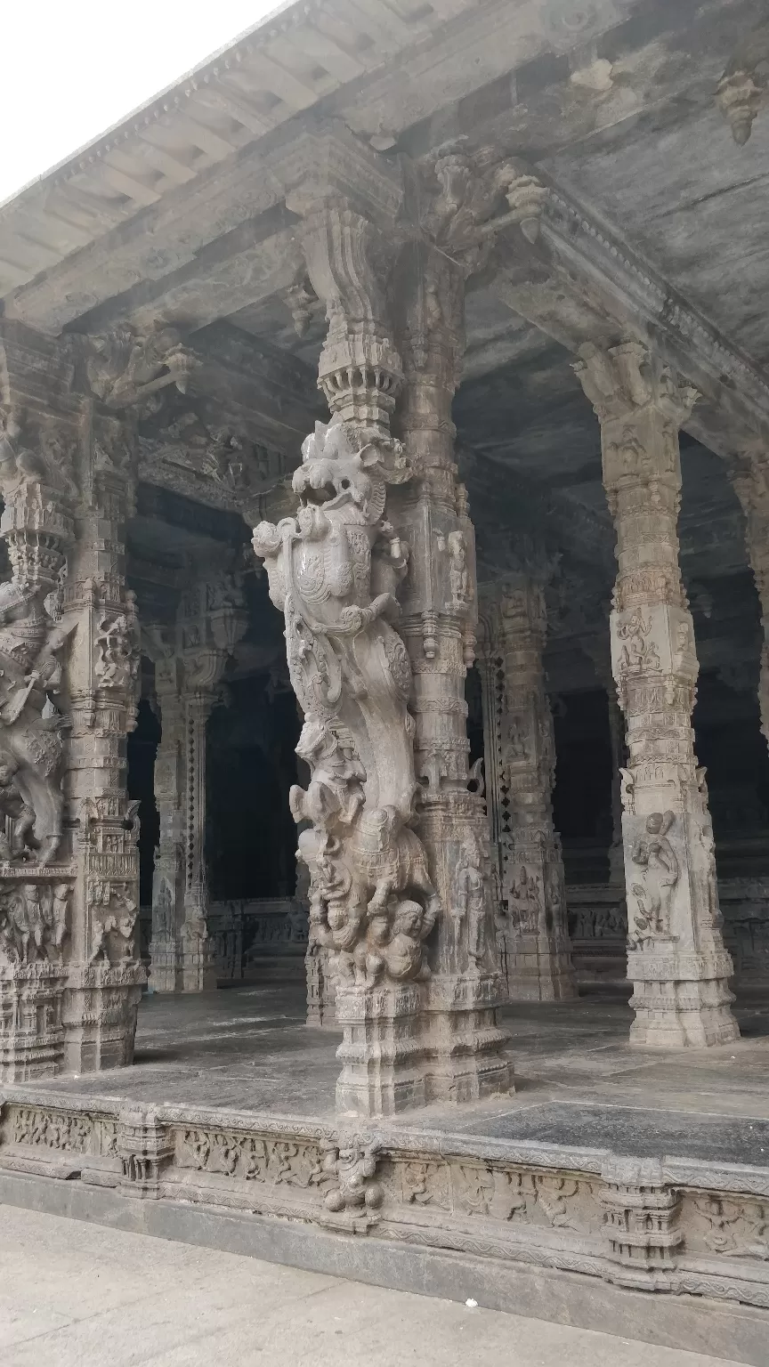 Photo of Vellore, Tamil Nadu, India by Meenakshi Singh