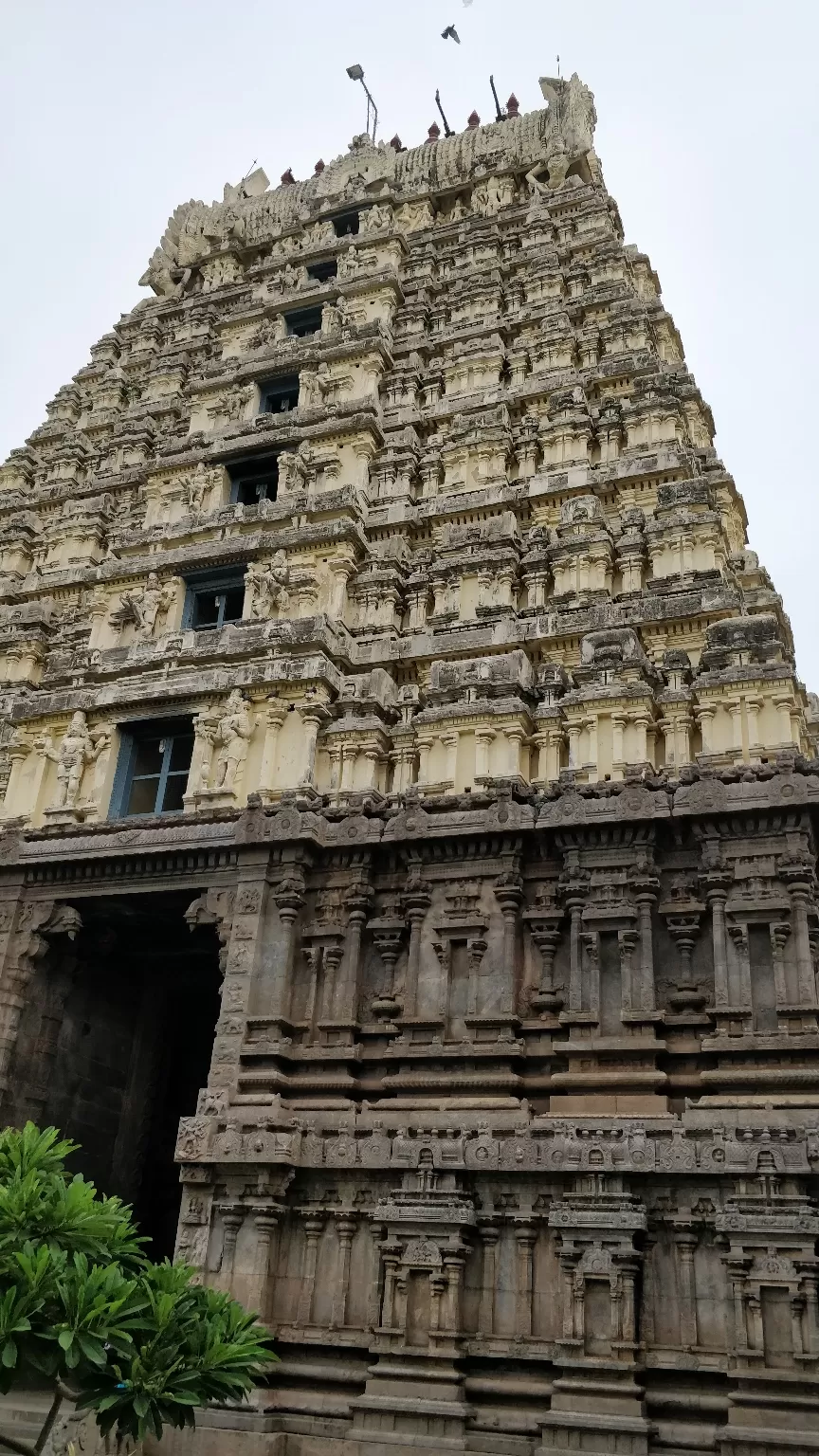 Photo of Vellore, Tamil Nadu, India by Meenakshi Singh
