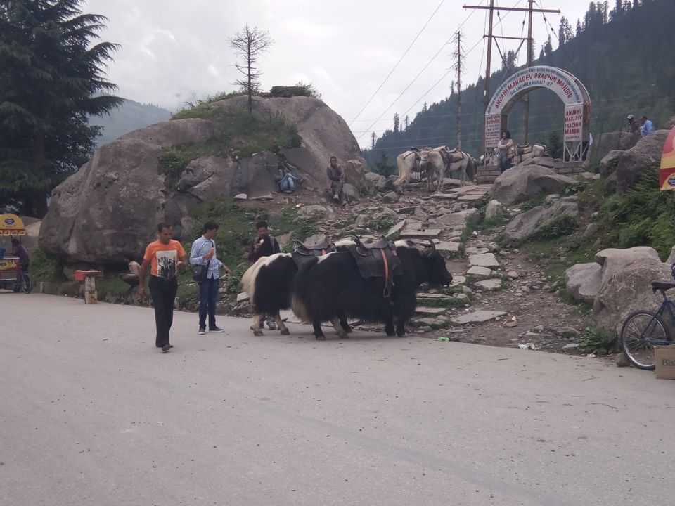 Photo of Manali ....trip to remember for life by Meenakshi Singh