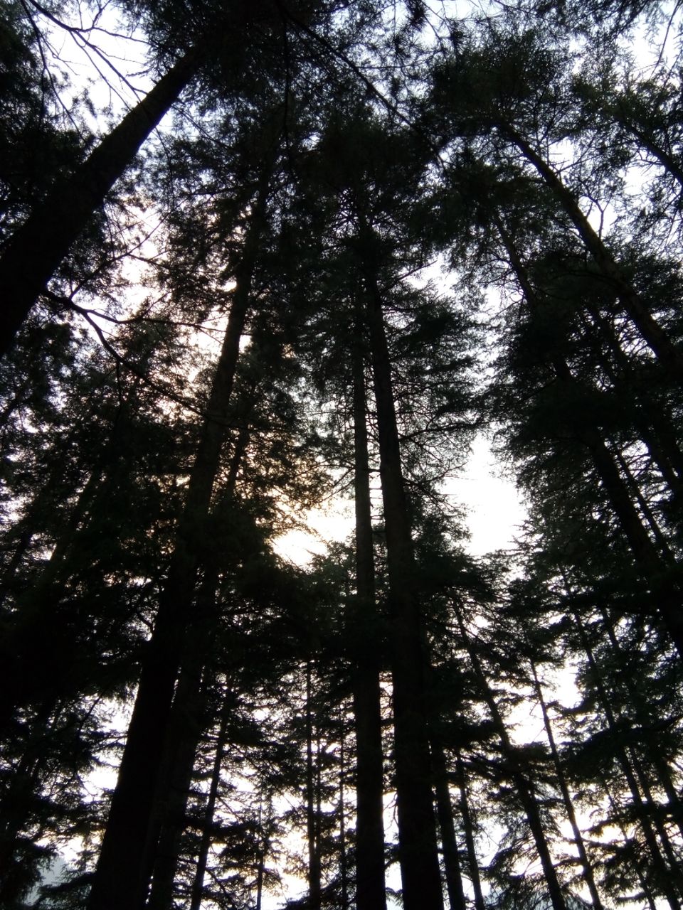 Photo of Manali ....trip to remember for life by Meenakshi Singh