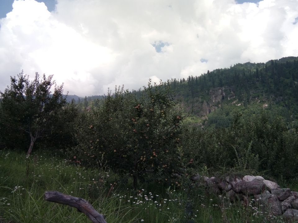 Photo of Manali ....trip to remember for life by Meenakshi Singh