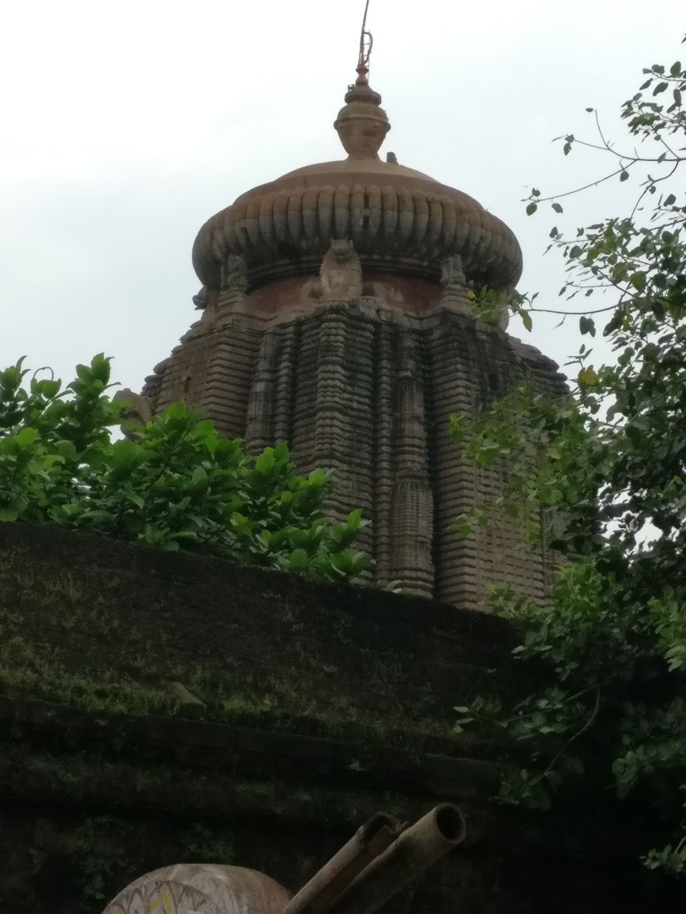 Photo of Lingraj Temple 4/4 by Meenakshi Singh