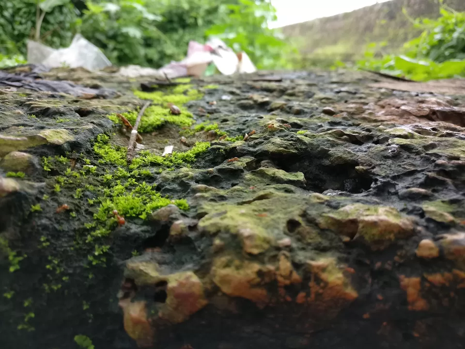 Photo of Bhubaneswar, Odisha, India by Meenakshi Singh