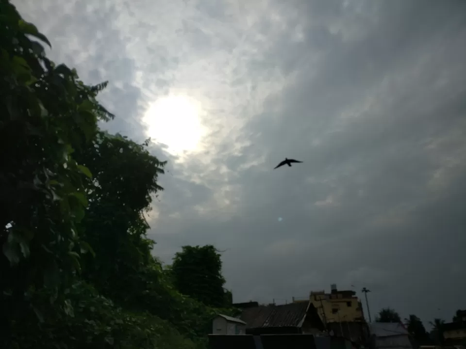 Photo of Bhubaneswar, Odisha, India by Meenakshi Singh