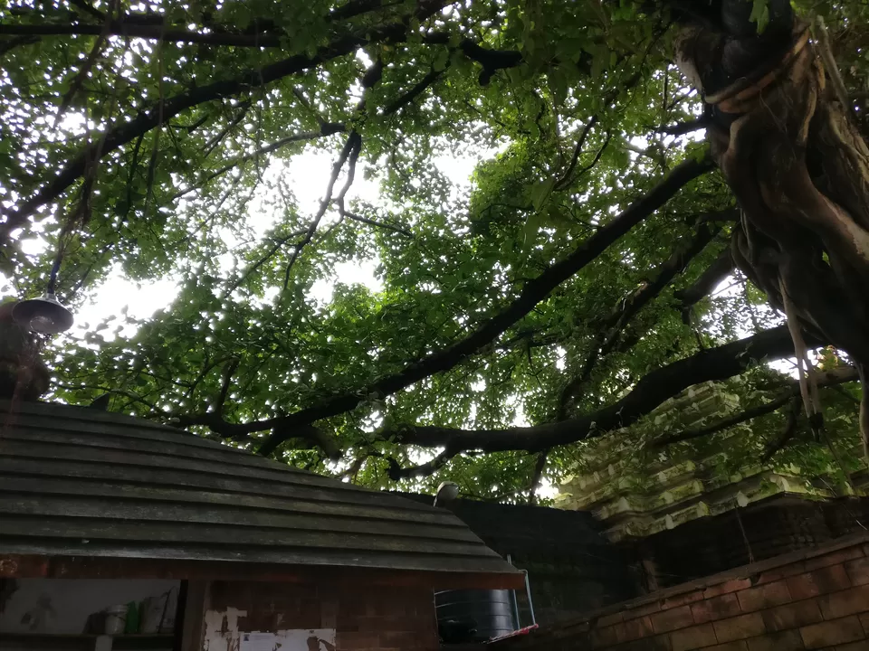 Photo of Bhubaneswar, Odisha, India by Meenakshi Singh