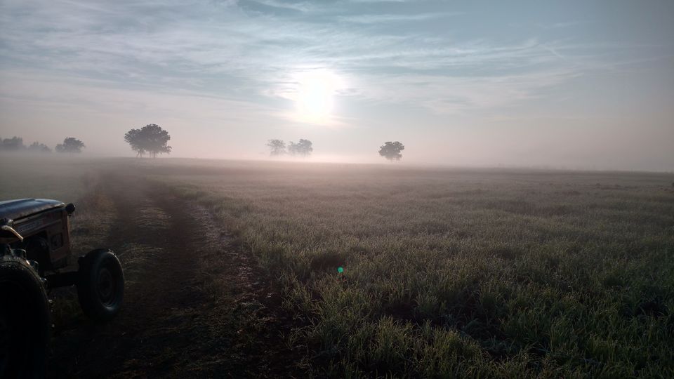 Photo of Berasia, Madhya Pradesh, India by Moosa Qureshi