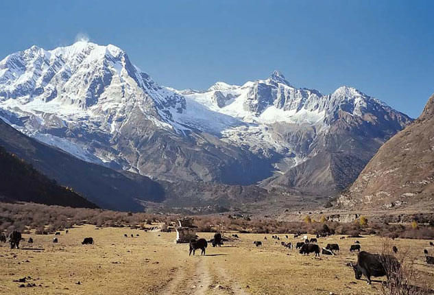 Photo of Nepal : Manaslu Circuit Trekking 4/5 by The Nepal Trekking Company