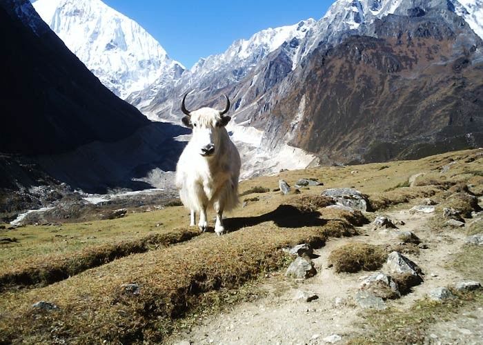 Photo of 15 Days Everest Base Camp Trekking With Kathmandu City Sightseen, 0nlu $1100 USD peson 9/10 by The Nepal Trekking Company
