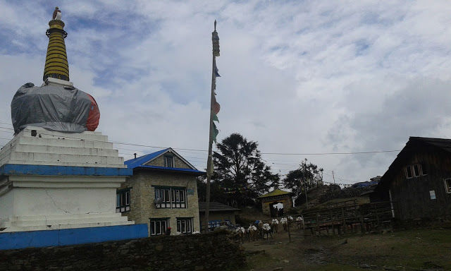 Photo of Ghorepani Poonhill Trekking 9/9 by The Nepal Trekking Company