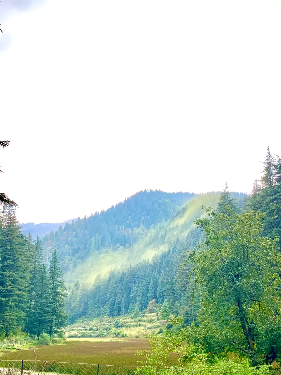 Photo of Explore The Untouched Sainj Valley by Sugandha