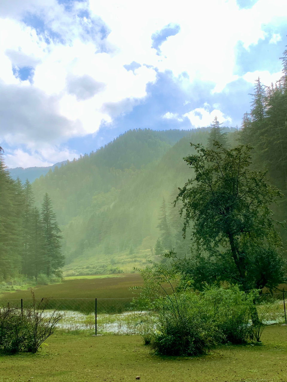 Photo of Explore The Untouched Sainj Valley by Sugandha
