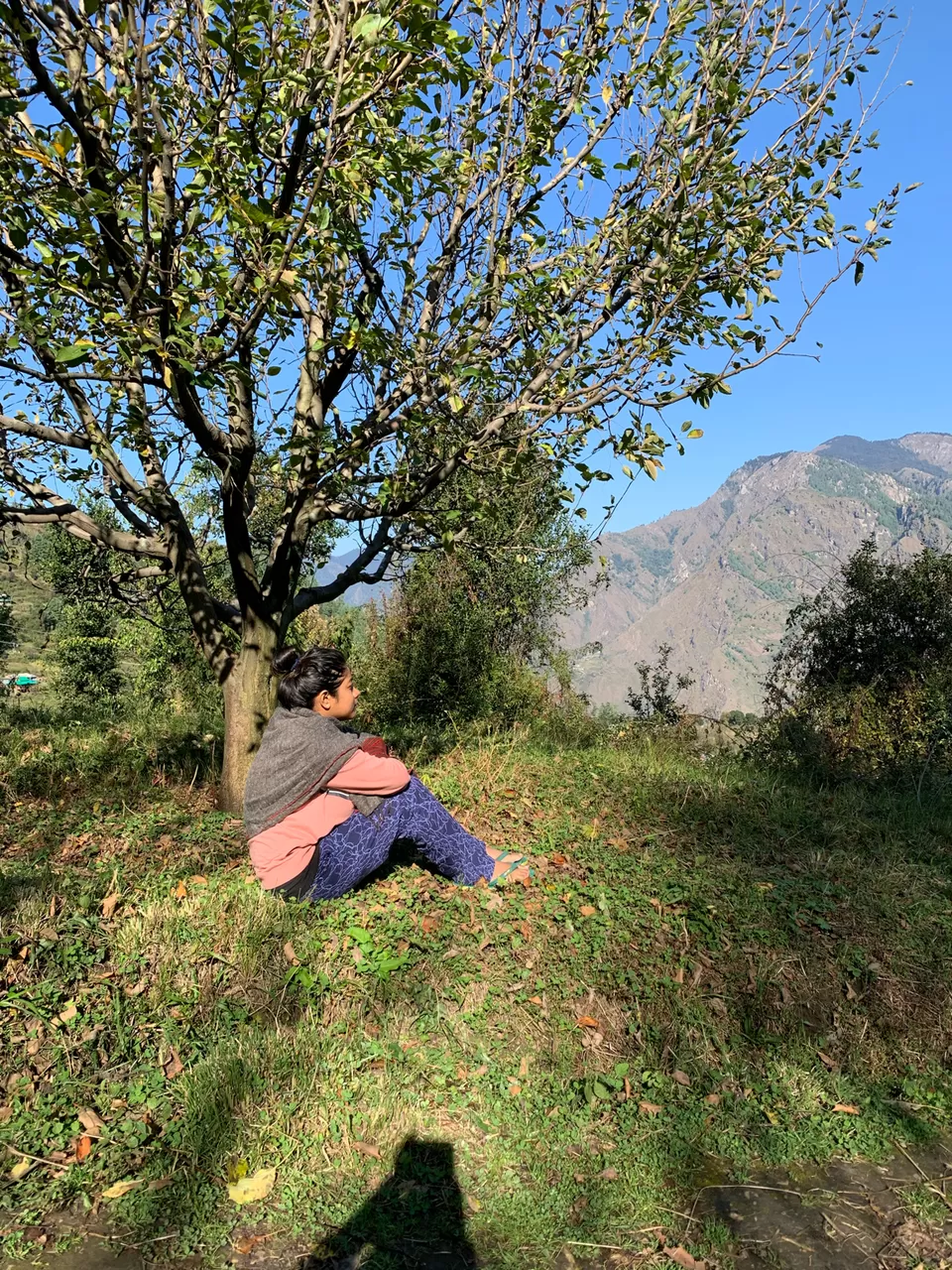 Photo of Explore The Untouched Sainj Valley by Sugandha