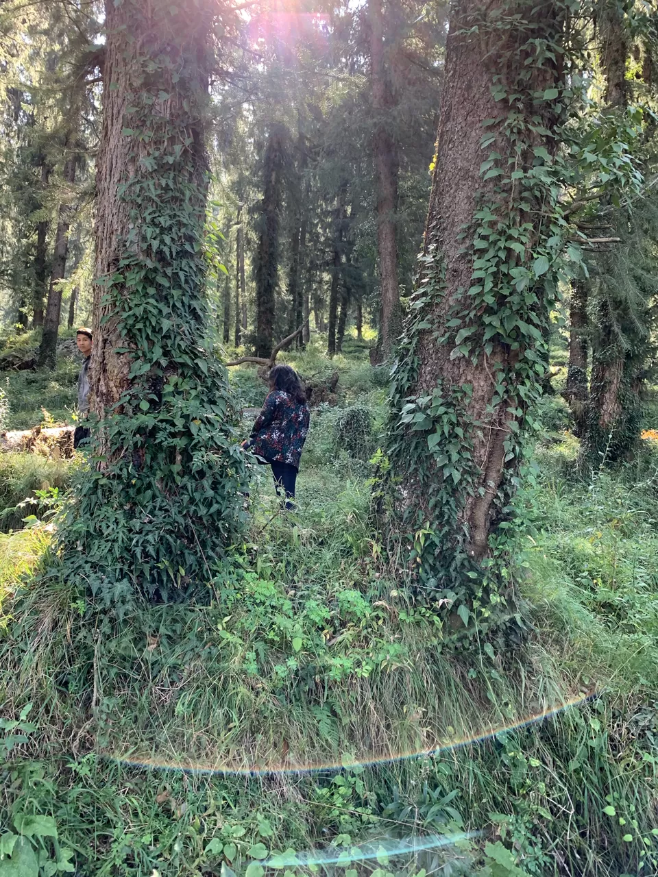 Photo of Explore The Untouched Sainj Valley by Sugandha