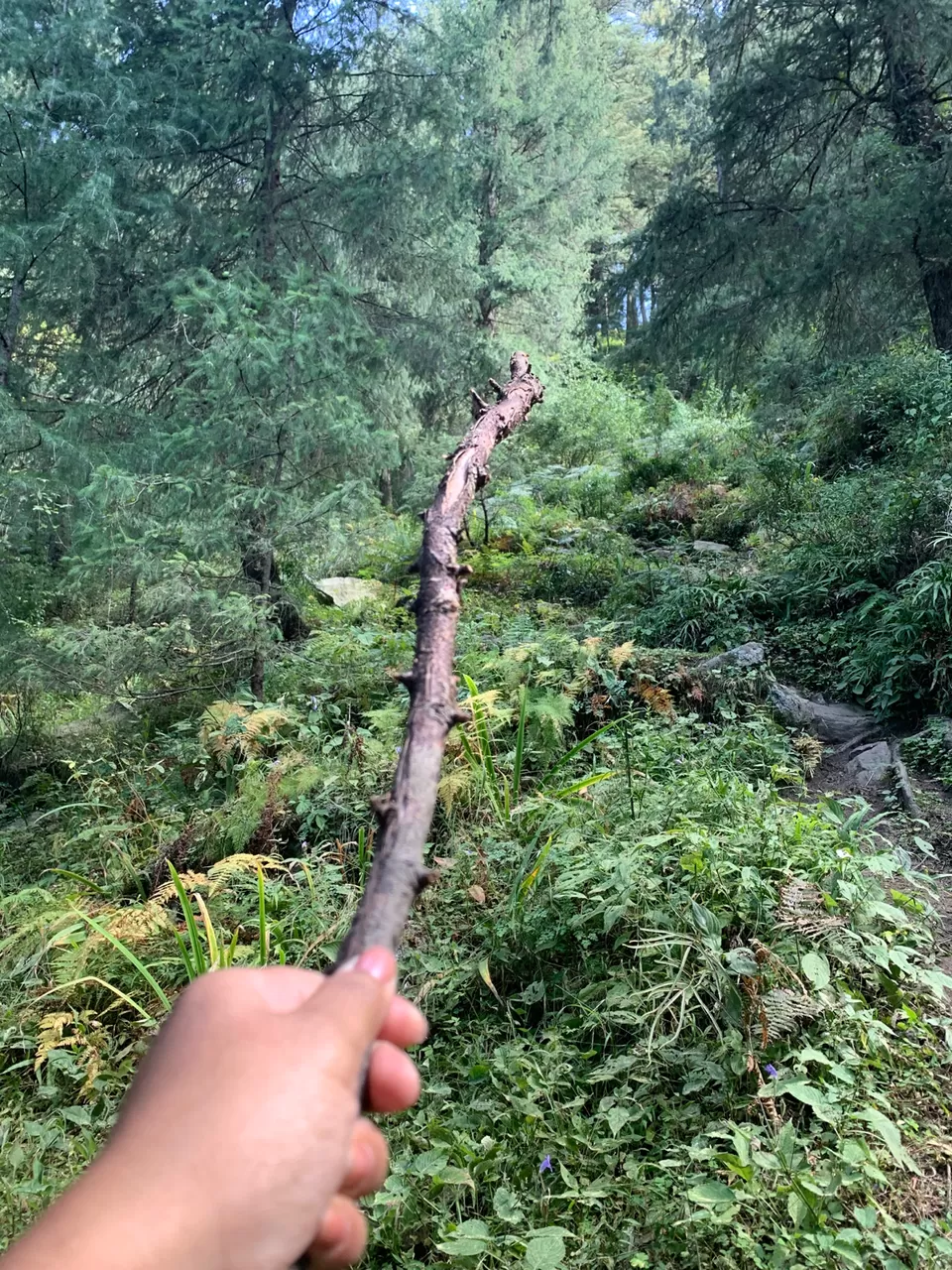 Photo of Explore The Untouched Sainj Valley by Sugandha