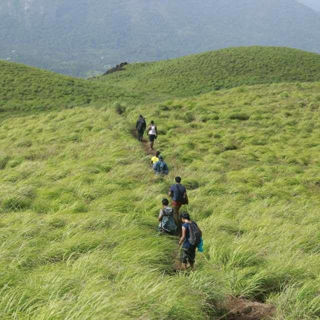 Photo of Wayanad - Refreshing Nature by Anshul Jain