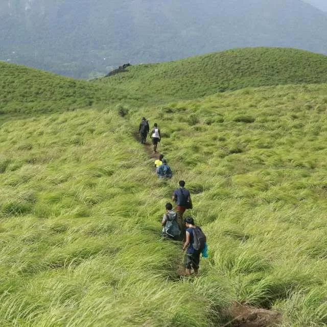 Photo of Wayanad - Refreshing Nature by Anshul Jain