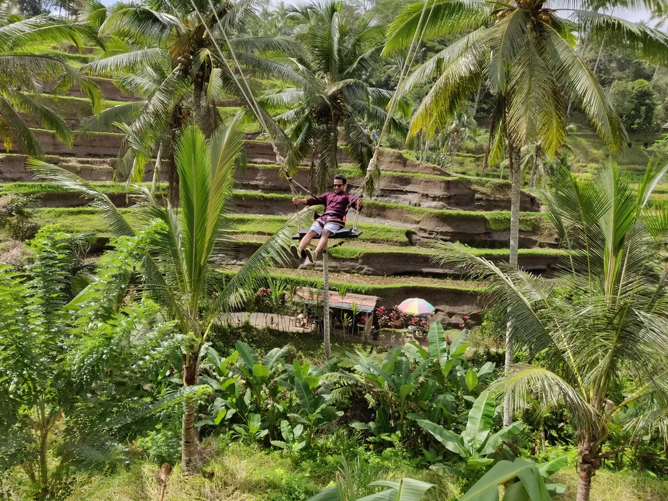 Photo of Bali Swing, Jalan Dewi Saraswati, Bongkasa Pertiwi, Badung Regency, Bali, Indonesia by Saurav Basu