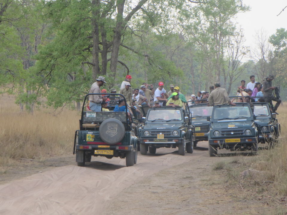 Photo of Kanha Tiger Reserve, Madhya Pradesh, India by Vikas Sawant