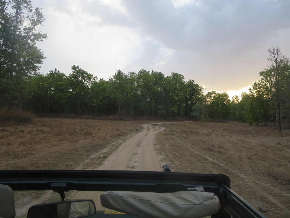 Photo of Kanha Tiger Reserve, Madhya Pradesh, India by Vikas Sawant