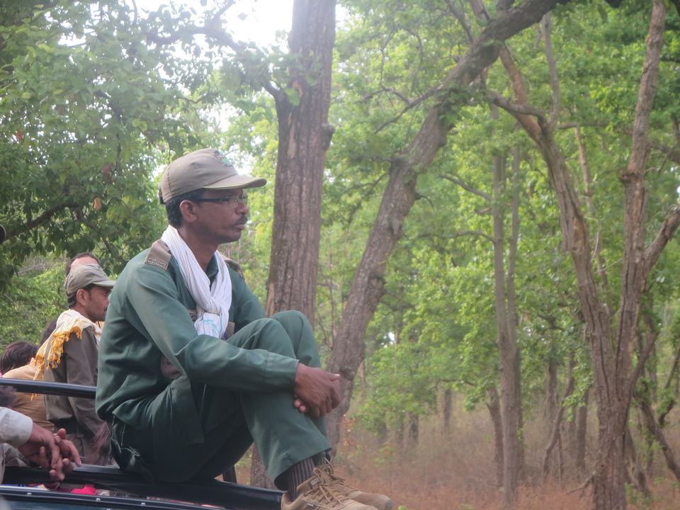 Photo of Kanha Tiger Reserve, Madhya Pradesh, India by Vikas Sawant
