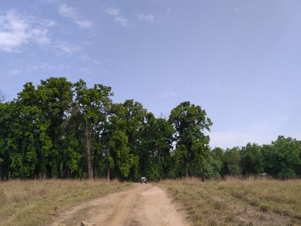 Photo of Wildlife Trip to Kanha National park, Madhya Pradesh by Vikas Sawant